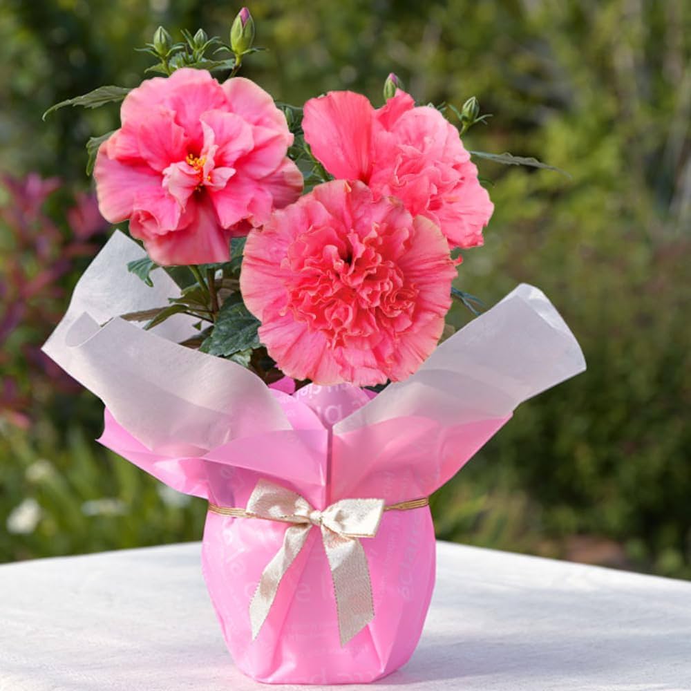 花花♡ページ　他の方購入不可 FREAK'S STORE/シアー 小花柄 刺繍 ルーズパンツ【限定展開】｜Daytona